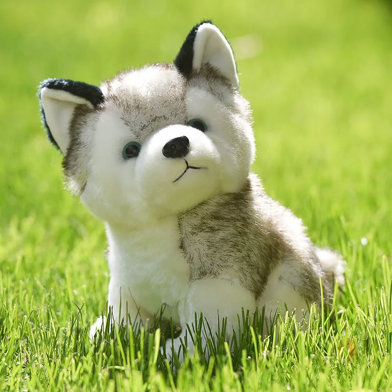 20-30cm cute husky dog plush toy wolf soft stuffed animal cute plush kawaii children doll fluffy birthday gift child boy WJ131
20-30cm cute husky dog plush toy wolf soft stuffed animal cute plush kawaii children doll fluffy birthday gift child boy WJ131