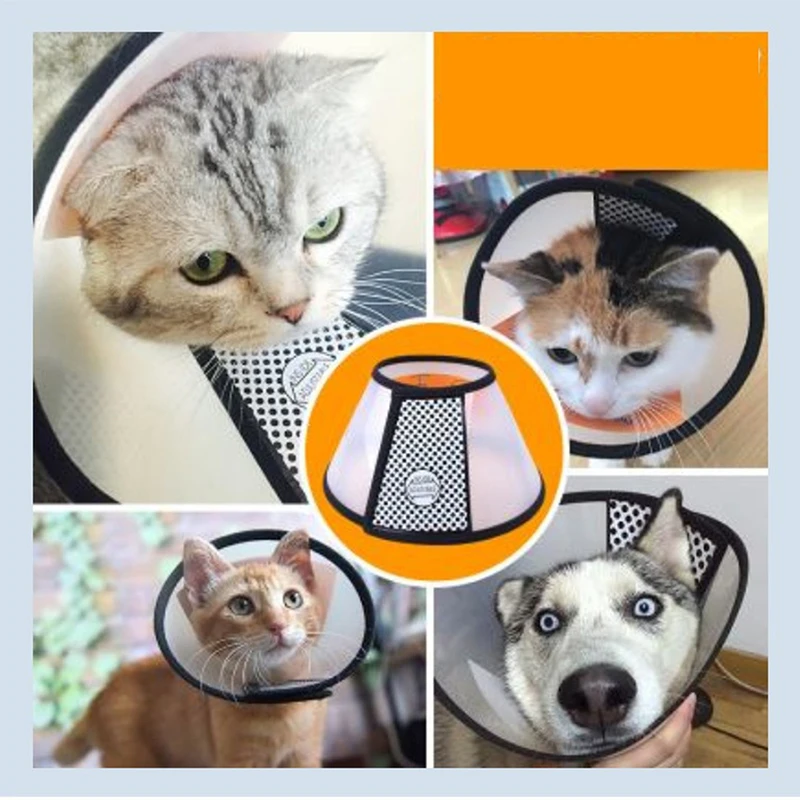 Collar Circle Anti Bite Pet Feeding Medicine Beauty Healing Brace Cover Pet Accessories Translucent Pet Dogs Cats
Collar Circle Anti Bite Pet Feeding Medicine Beauty Healing Brace Cover Pet Accessories Translucent Pet Dogs Cats