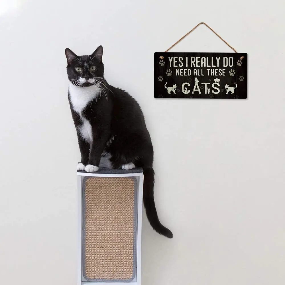 Putuo Decor Funny Cat Sign Yes I Really Do Need All These Cat Gift for Cat Lover 12 x 8 Inches
Putuo Decor Funny Cat Sign Yes I Really Do Need All These Cat Gift for Cat Lover 12 x 8 Inches
