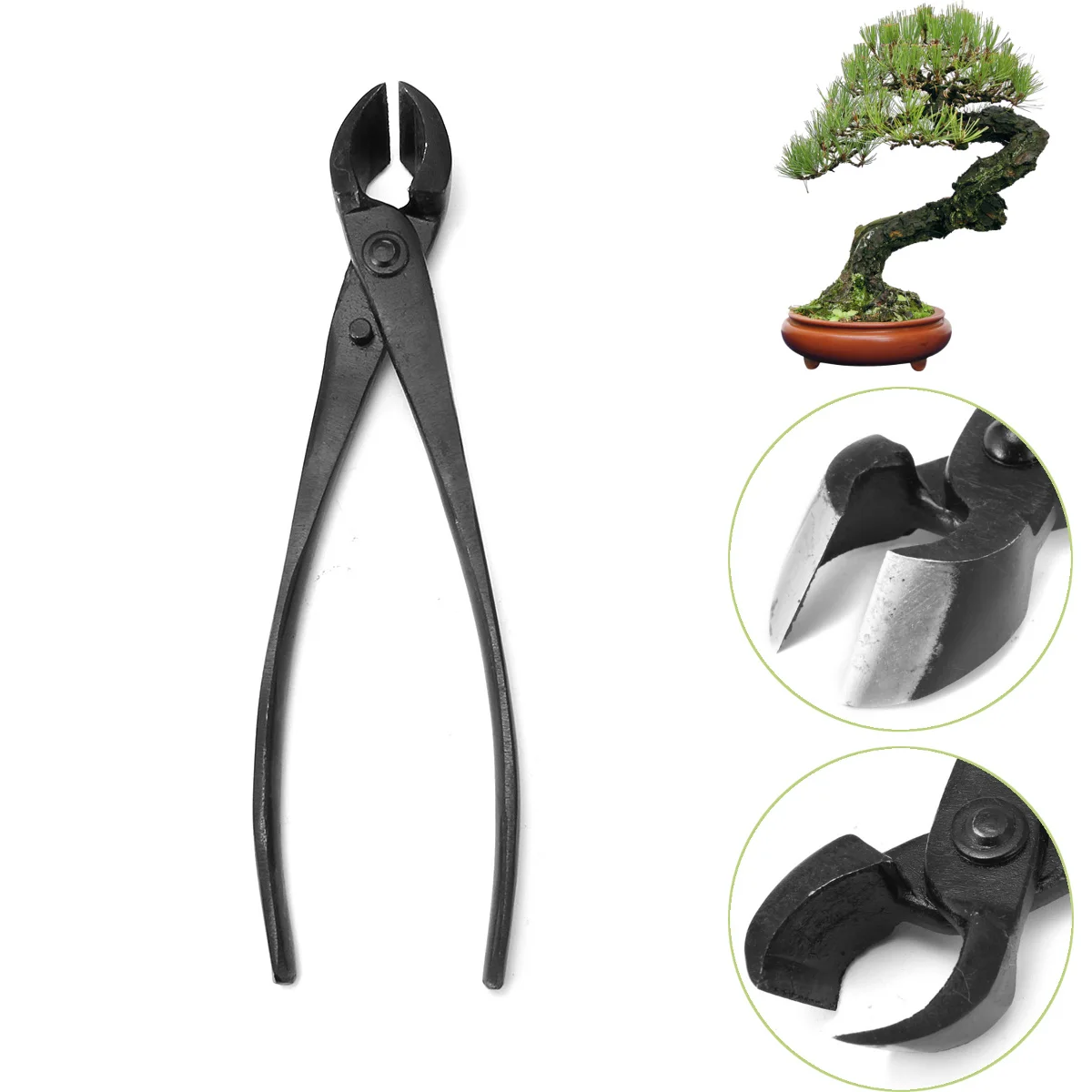 205 mm Carbon Steel Multi - Function Round Edge Cutter Beginner Bonsai Tools As Branch Cutter and Knob Cutter
205 mm Carbon Steel Multi - Function Round Edge Cutter Beginner Bonsai Tools As Branch Cutter and Knob Cutter