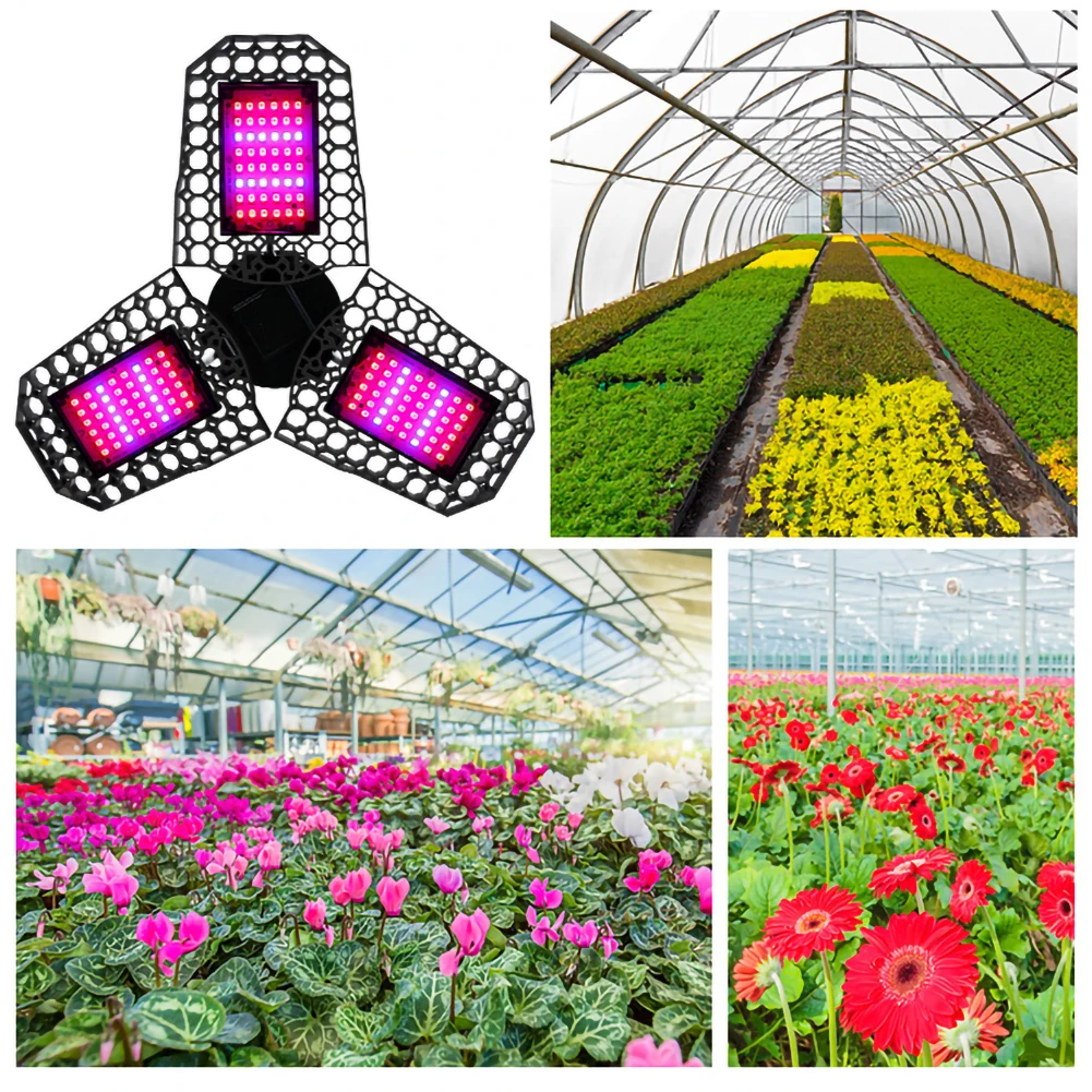 LED Grow Light E27 Full Spectrum Indoor Adjustable Lighting Plants Lamp AC100V-277V 40W 60W 80W Flowers Seedling Growing Lamp
LED Grow Light E27 Full Spectrum Indoor Adjustable Lighting Plants Lamp AC100V-277V 40W 60W 80W Flowers Seedling Growing Lamp