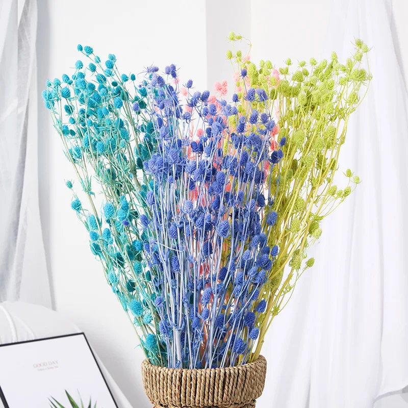 80g Natural Preserved Dried Flower Bouquet Valentine Fruit Eryngium Christmas Art Globe Home Wedding Decoration
80g Natural Preserved Dried Flower Bouquet Valentine Fruit Eryngium Christmas Art Globe Home Wedding Decoration