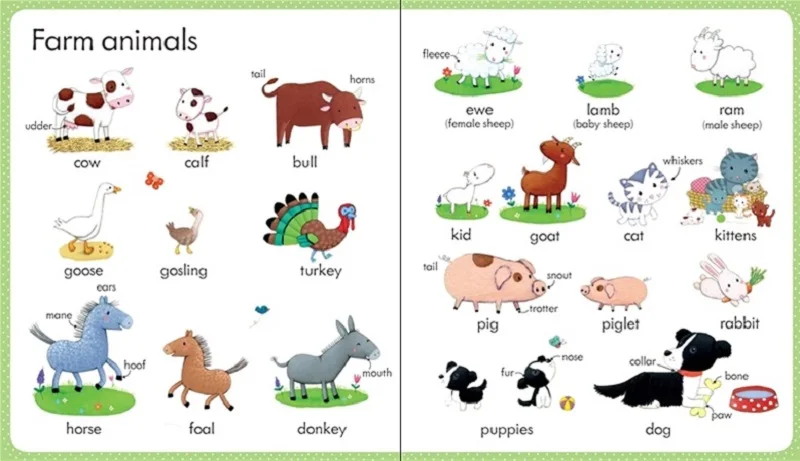 Usborne My First Word Book: on The Farm English Picture Books for Children's Education
Usborne My First Word Book: on The Farm English Picture Books for Children's Education