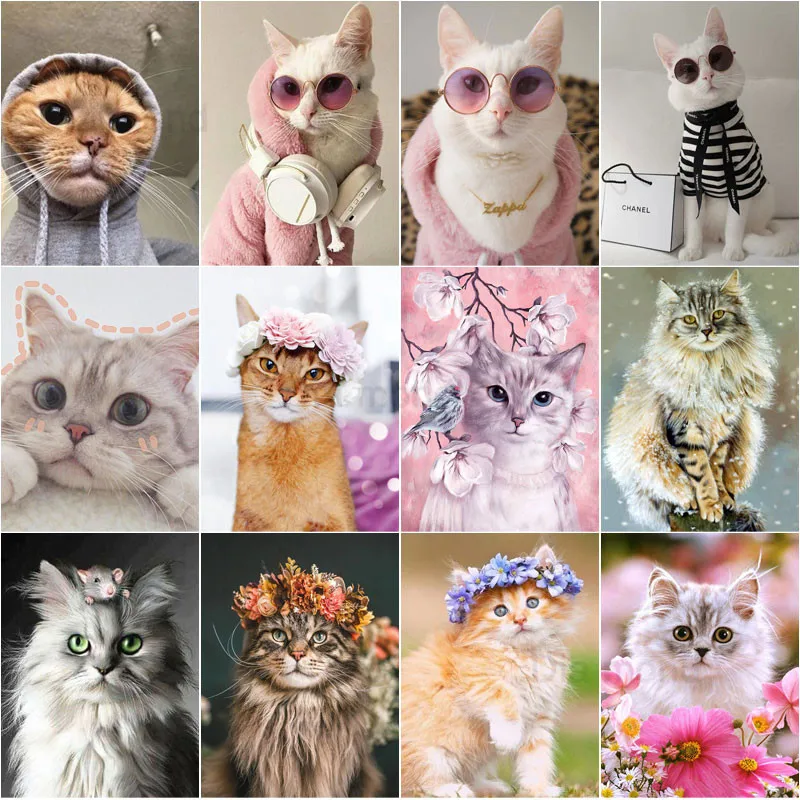 Fashion Cat 5D Diy Diamond Painting Full Square Round Embroidery Mosaic Art Cute Pet Cross Stitch Kits Paintings Home Decor Gift
Fashion Cat 5D Diy Diamond Painting Full Square Round Embroidery Mosaic Art Cute Pet Cross Stitch Kits Paintings Home Decor Gift