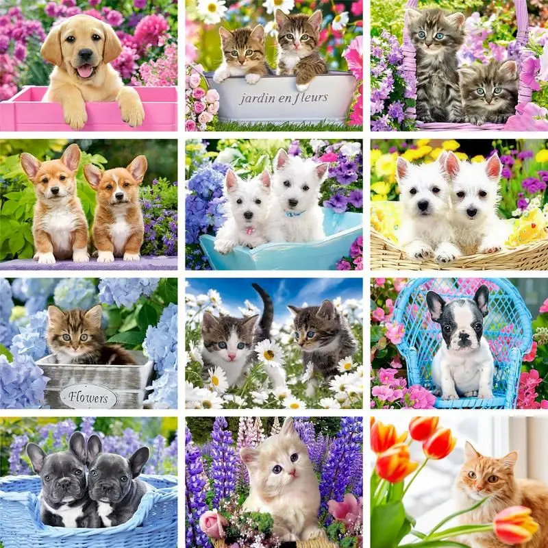 GATYZTORY Paint By Number Dog Oil Painting Art DIY Coloring By Number Door Animal Kits Modern Wall Artworks
GATYZTORY Paint By Number Dog Oil Painting Art DIY Coloring By Number Door Animal Kits Modern Wall Artworks
