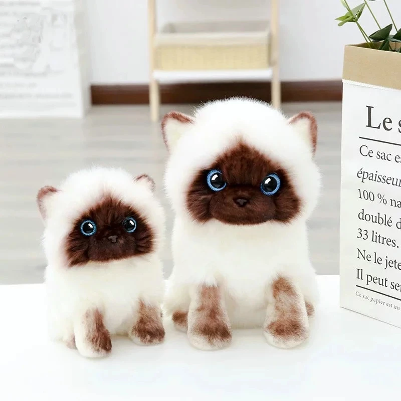 

20/26Cm Blue Sequins Eyes Cats Doll Simulation Cute Siamese Cat Plush Toy Brown and White Face Ragdoll Cat Home Decor Best Gift