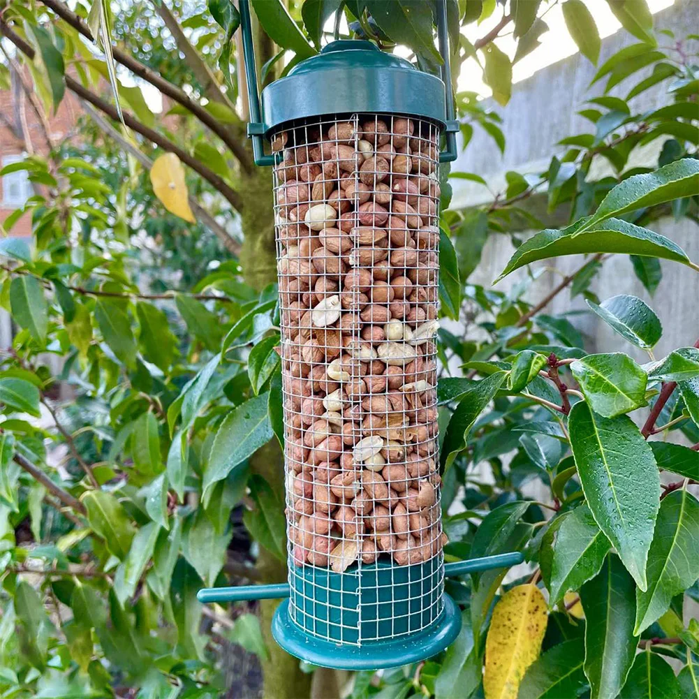 Bird Feeders Hanging Peanut Nut Feeder For Bird Feeders Stations Garden Built-in Handle Grid Bird Feeders Rust Resistant Pet Set
Bird Feeders Hanging Peanut Nut Feeder For Bird Feeders Stations Garden Built-in Handle Grid Bird Feeders Rust Resistant Pet Set