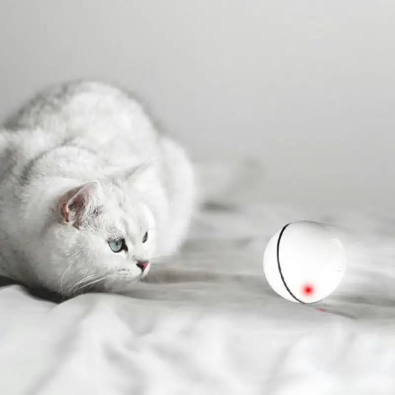 Pet Cat Toy LED Luminous Ball USB Charging Smart Funny Cats Toys Automatic Rolling Balls K1MF
Pet Cat Toy LED Luminous Ball USB Charging Smart Funny Cats Toys Automatic Rolling Balls K1MF