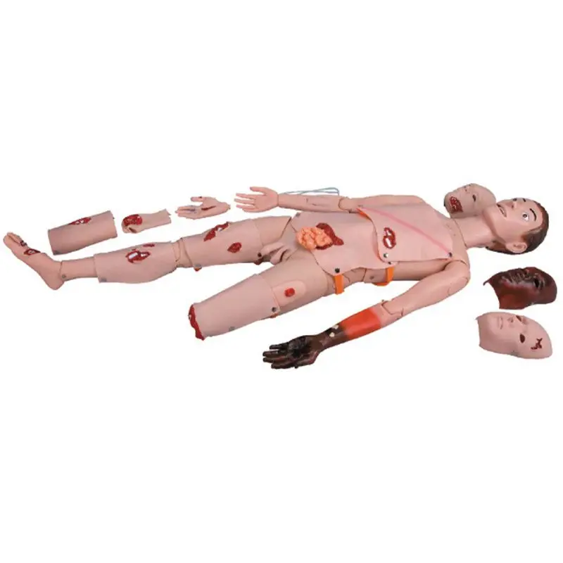 Whole-body trauma nursing training nurse module human body model simulator
Whole-body trauma nursing training nurse module human body model simulator