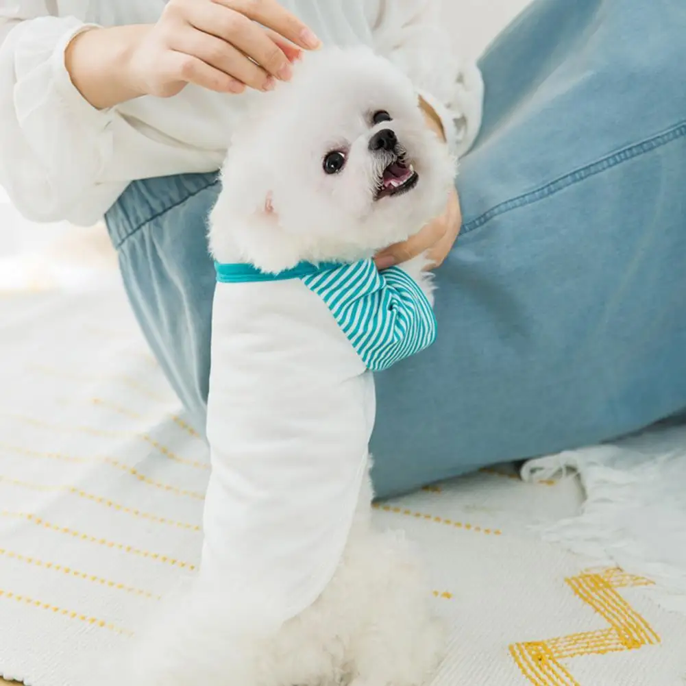 Dog Clothes Stripe Patchwork Design Round Neck Cotton Two-legged Pullover Costume for Daily Life
Dog Clothes Stripe Patchwork Design Round Neck Cotton Two-legged Pullover Costume for Daily Life