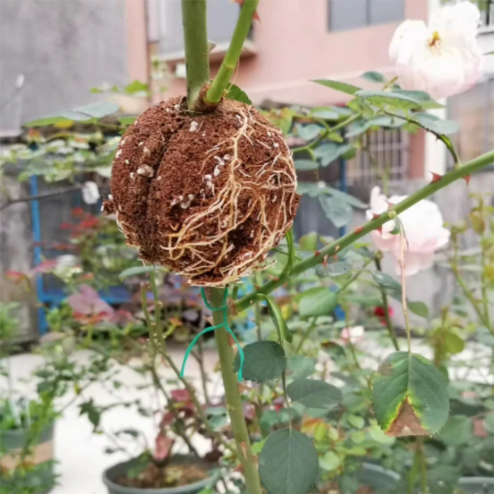 5pcs Plant High Pressure Box Plant Grafting Box Cutting Grafting Rooting Box for Indoor Outdoor Plants Asexual Reproduction
5pcs Plant High Pressure Box Plant Grafting Box Cutting Grafting Rooting Box for Indoor Outdoor Plants Asexual Reproduction