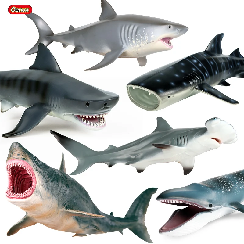 Oenux New Sea Life Blue Whale Shark Megalodon Action Figure Aquarium Ocean Marine Animals Model PVC Education Kids Toy Gift
Oenux New Sea Life Blue Whale Shark Megalodon Action Figure Aquarium Ocean Marine Animals Model PVC Education Kids Toy Gift