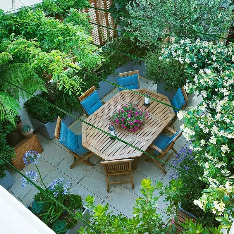 25 Pack Garden Stakes Metal Plastic Coated Plant Cage Supports Climbing for Tomatoes,Trees,Cucumber,Fences,Beans,40cm
25 Pack Garden Stakes Metal Plastic Coated Plant Cage Supports Climbing for Tomatoes,Trees,Cucumber,Fences,Beans,40cm