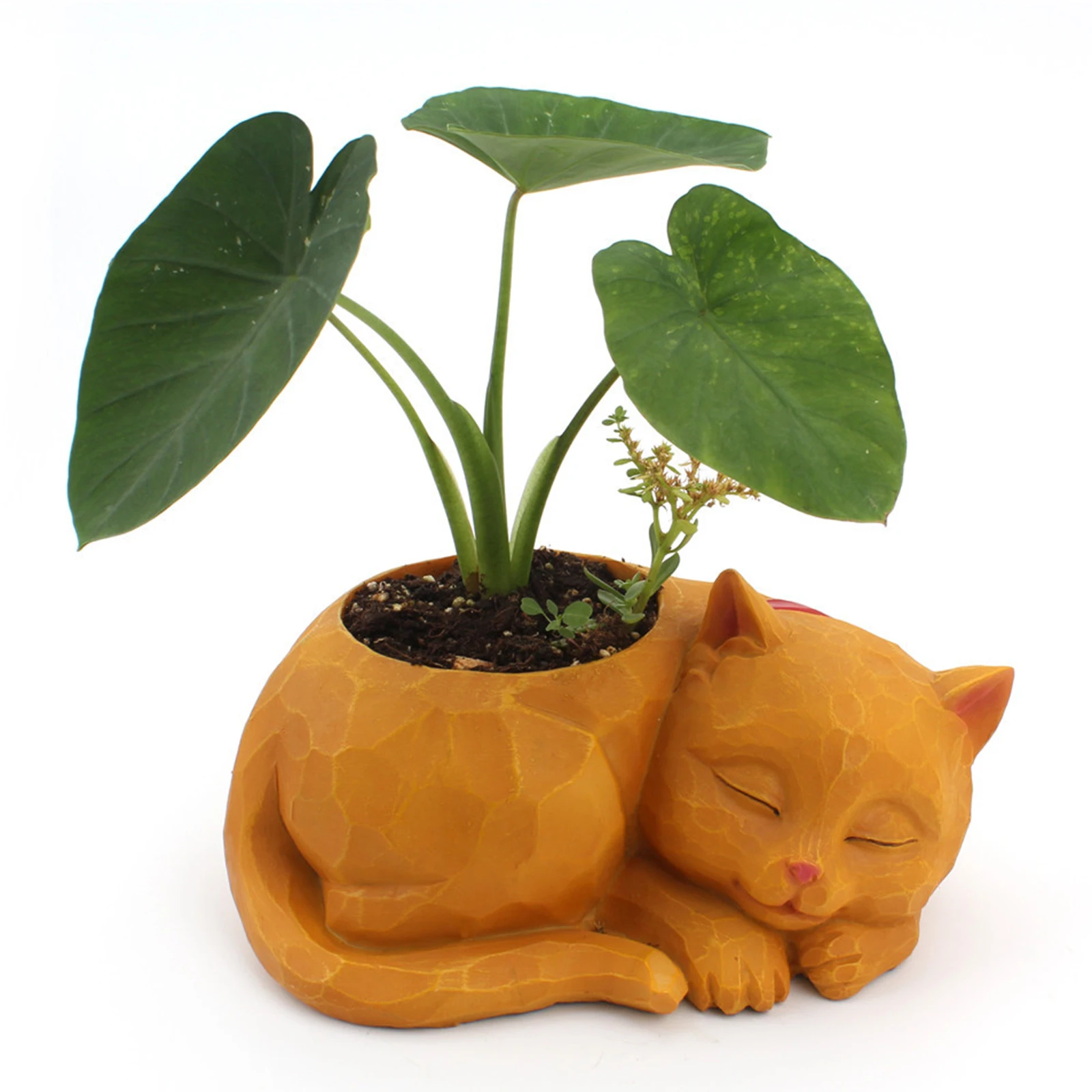 Полимерный художественный растительный горшок для суккулентов, цветочный горшок, настольный горшок для сна, кошки, ваза, контейнер для мале...
Полимерный художественный растительный горшок для суккулентов, цветочный горшок, настольный горшок для сна, кошки, ваза, контейнер для мале...