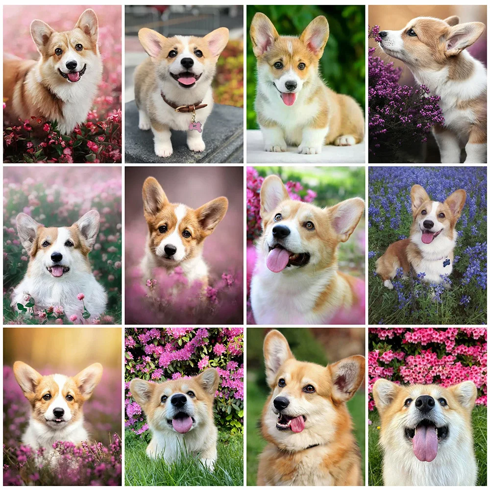 MomoArt Diamond Painting 5D Dog Diamond Embroidery DIY Animal Full Drill Square Flower Cross Stitch Picture Mosaic Handmade Gift
MomoArt Diamond Painting 5D Dog Diamond Embroidery DIY Animal Full Drill Square Flower Cross Stitch Picture Mosaic Handmade Gift