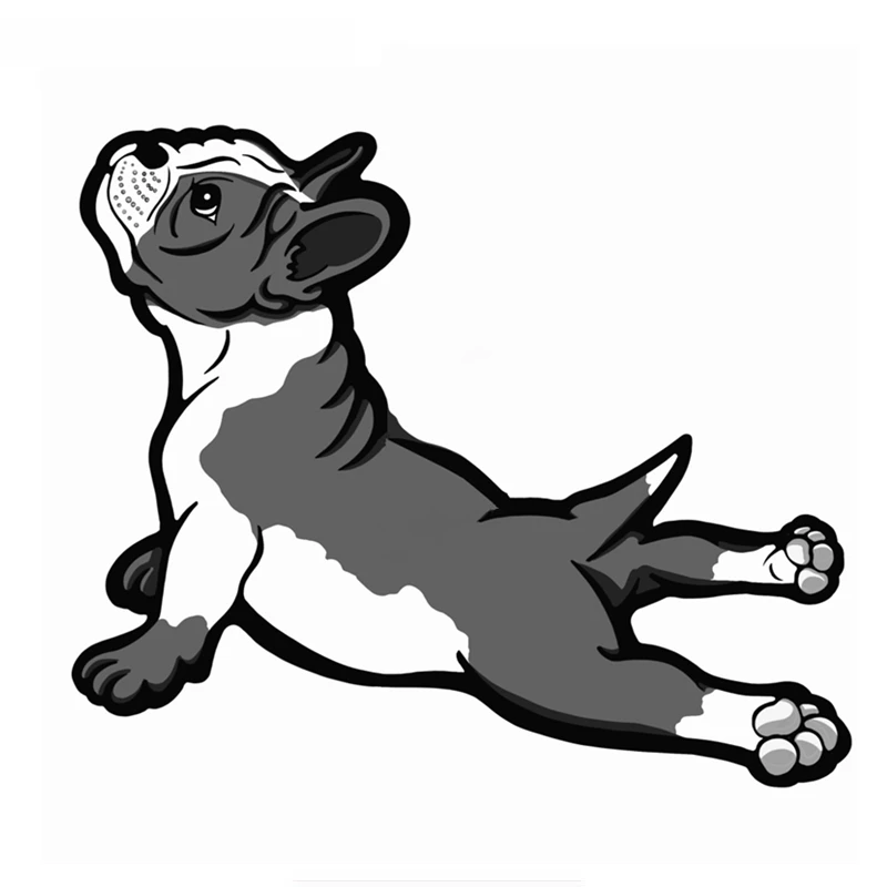 Car Sticker Cute Dog Boston Terrier Funny Colored Motorcycle Accessories Waterproof Sunscreen Vinyl Decal,14CM*12CM
Car Sticker Cute Dog Boston Terrier Funny Colored Motorcycle Accessories Waterproof Sunscreen Vinyl Decal,14CM*12CM