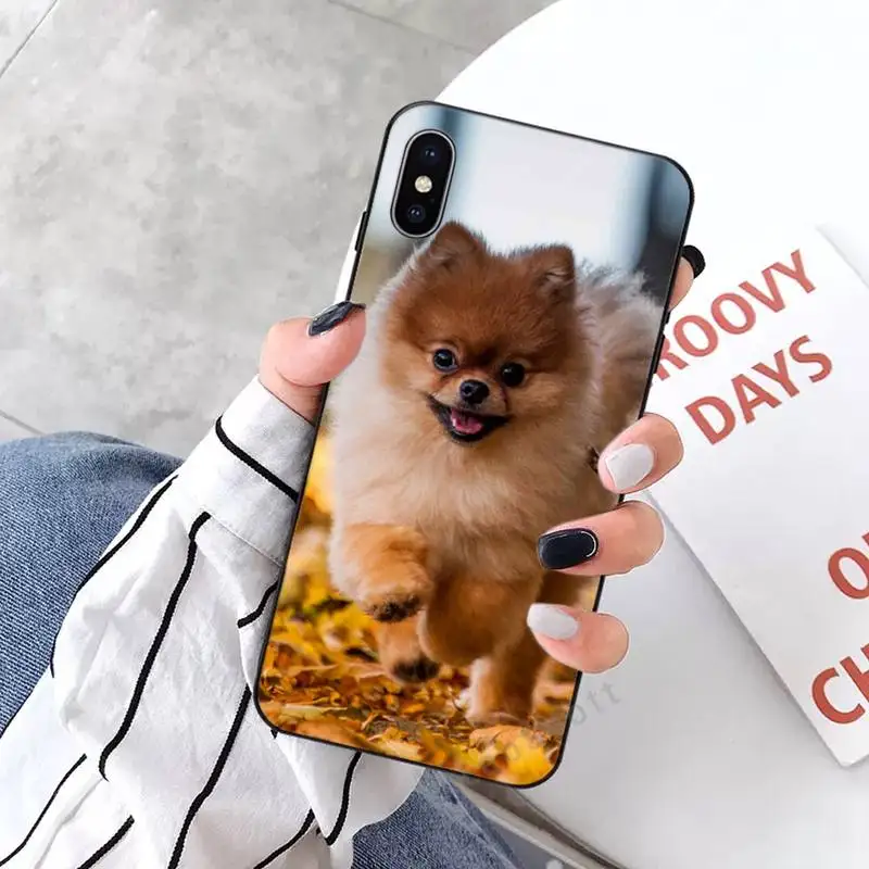 cute dog Pomeranian Phone Case for iPhone 11 12 mini pro XS MAX 8 7 6 6S Plus X 5S SE 2020 XR
cute dog Pomeranian Phone Case for iPhone 11 12 mini pro XS MAX 8 7 6 6S Plus X 5S SE 2020 XR
