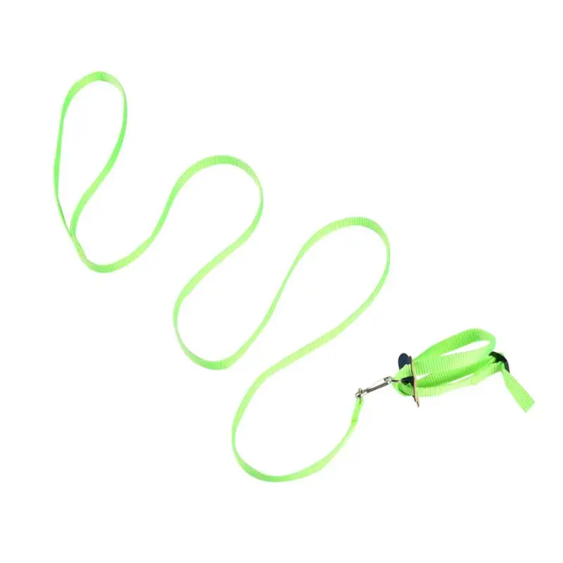 Portable New Parrot Bird Hamster Turtle Lizard Traction Rope Reins 8-shaped Pet Strap Leash
Portable New Parrot Bird Hamster Turtle Lizard Traction Rope Reins 8-shaped Pet Strap Leash