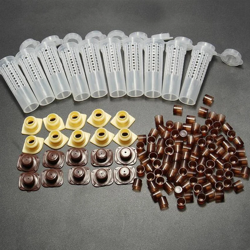 Набор инструментов для пчеловодства система выращивания маток коробка для выращивания пластиковая клетка для пчел Набор чашек клетка для ...
Набор инструментов для пчеловодства система выращивания маток коробка для выращивания пластиковая клетка для пчел Набор чашек клетка для ...