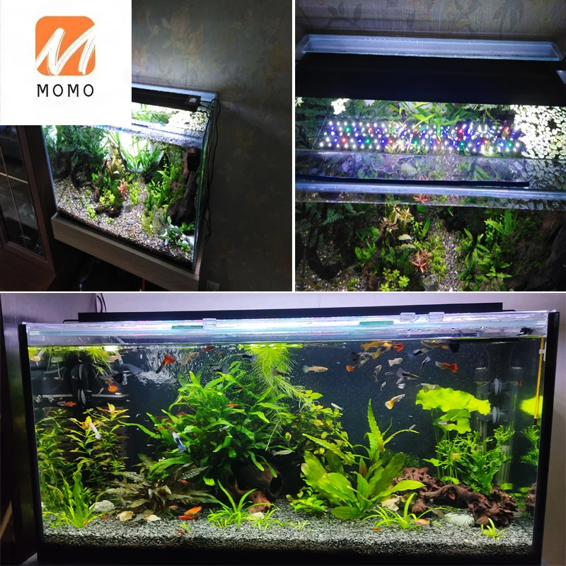 12-24 , RGB
12-24 , RGB