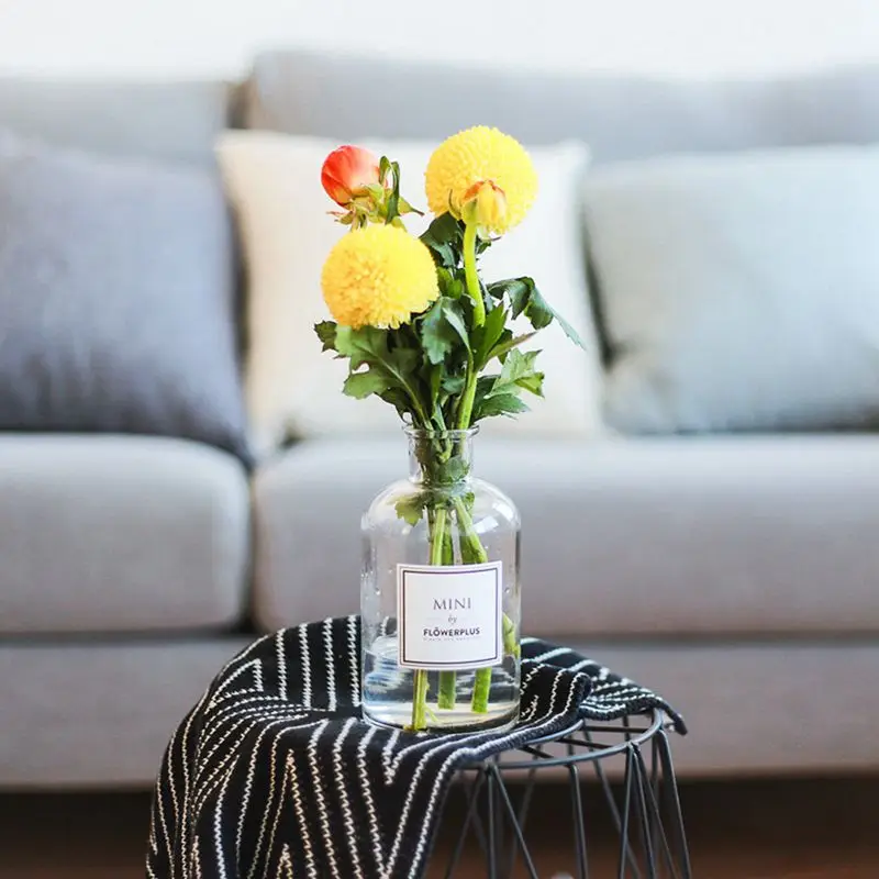Dry Flower Glass Vases Desktop Ornaments Small Simple Flower Bottle Arrangements Home Decoration Glass Crystal Vases
Dry Flower Glass Vases Desktop Ornaments Small Simple Flower Bottle Arrangements Home Decoration Glass Crystal Vases