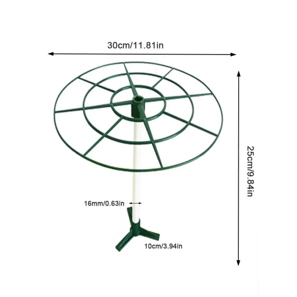 Plant Support Bracket Plant Support Stakes Flower Cage Support Ring Lollipop Stand Garden Flower Support Cages
Plant Support Bracket Plant Support Stakes Flower Cage Support Ring Lollipop Stand Garden Flower Support Cages