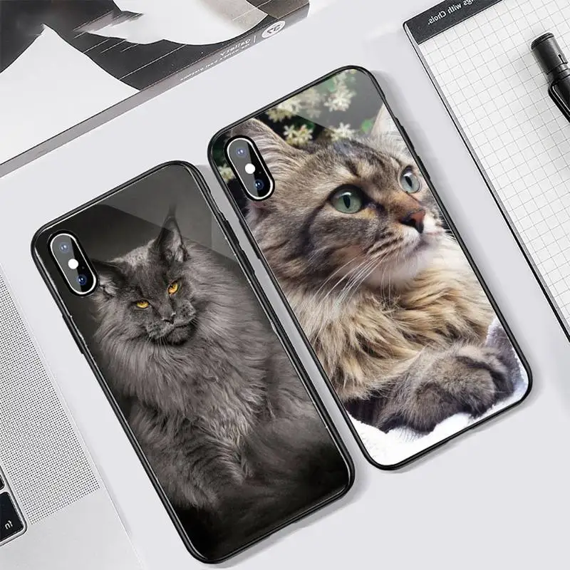 pet maine coon cat cute Phone Case Tempered glass For iphone 6 7 8 plus X XS XR 11 12 13 PRO MAX mini
pet maine coon cat cute Phone Case Tempered glass For iphone 6 7 8 plus X XS XR 11 12 13 PRO MAX mini
