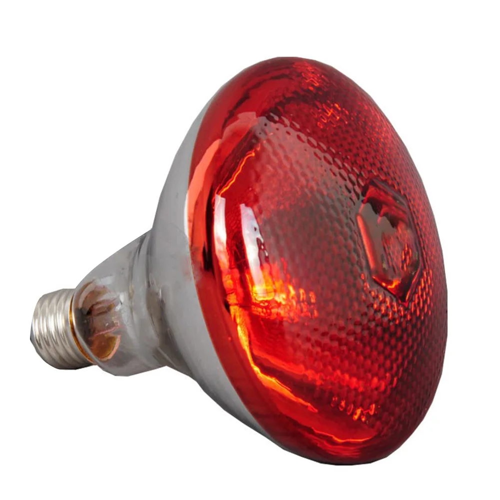 100W 150W 200W 245W 240V Infra Red Heat Lamp Poultry Brooder Chicks Waterproof Hatching Puppies Piglet Bulb for Chicken
100W 150W 200W 245W 240V Infra Red Heat Lamp Poultry Brooder Chicks Waterproof Hatching Puppies Piglet Bulb for Chicken