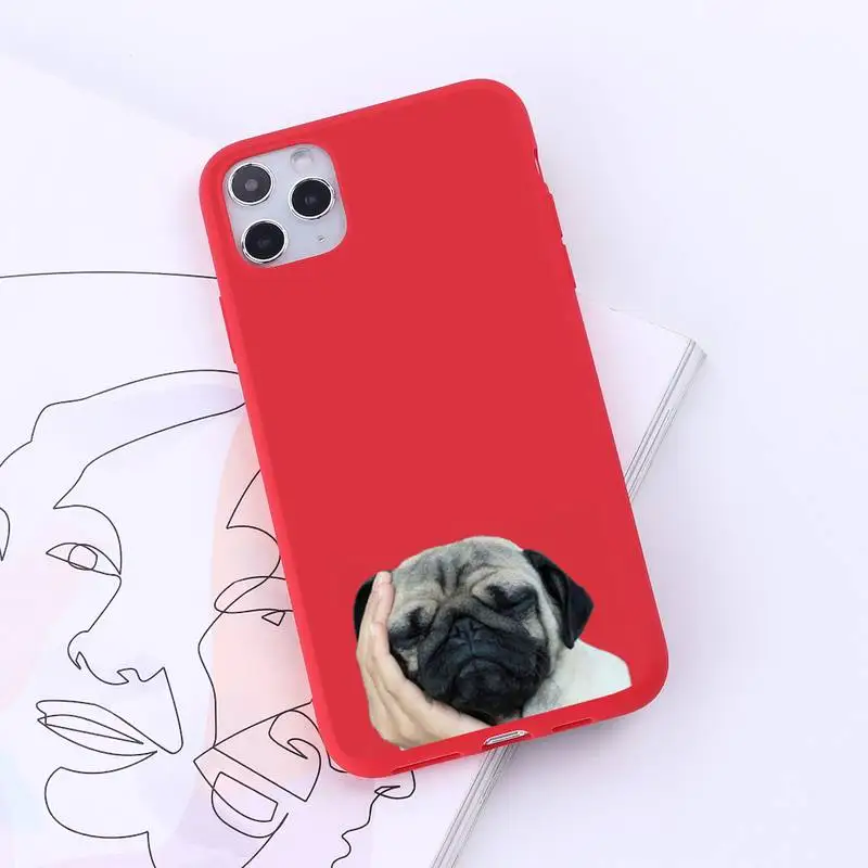 Pug Dog French Bulldog Phone Case Red Candy Color for iPhone 6 7 8 11 12 s mini pro X XS XR MAX Plus
Pug Dog French Bulldog Phone Case Red Candy Color for iPhone 6 7 8 11 12 s mini pro X XS XR MAX Plus