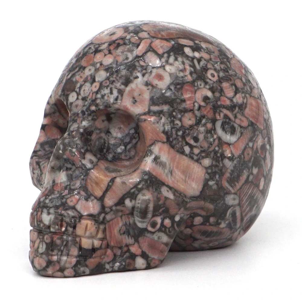 3 "Статуя черепа, натуральная цилиндрическая ископаемая яшма, Хрустальная резная резьба, восстанавливающая кожу ремесла, домашнее украшение, подарок на Хэллоуин
3 "Статуя черепа, натуральная цилиндрическая ископаемая яшма, Хрустальная резная резьба, восстанавливающая кожу ремесла, домашнее украшение, подарок на Хэллоуин