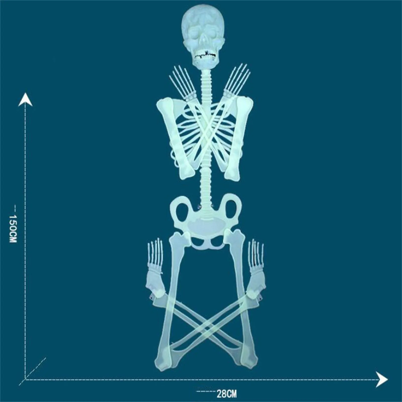150cm Luminous Skull Skeleton Body Scary Halloween Magic Toy Party Haunted House Tricky Prop Shocker Toy For Kids Adults
150cm Luminous Skull Skeleton Body Scary Halloween Magic Toy Party Haunted House Tricky Prop Shocker Toy For Kids Adults