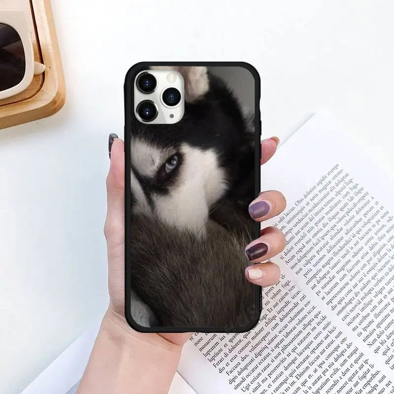 husky cute funny dog animal Phone Case for iPhone 11 12 pro XS MAX 8 7 6 6S Plus X 5S SE 2020 XR Luxury brand shell funda coque
husky cute funny dog animal Phone Case for iPhone 11 12 pro XS MAX 8 7 6 6S Plus X 5S SE 2020 XR Luxury brand shell funda coque