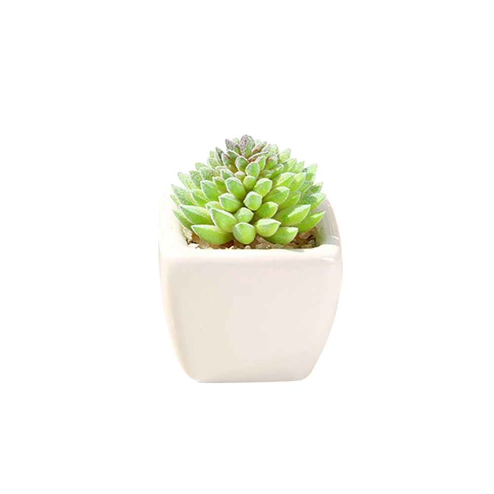 Mini small ceramic pot simulation succulent bonsai, creative DIY simulation flower plant pot, furniture decoration
Mini small ceramic pot simulation succulent bonsai, creative DIY simulation flower plant pot, furniture decoration