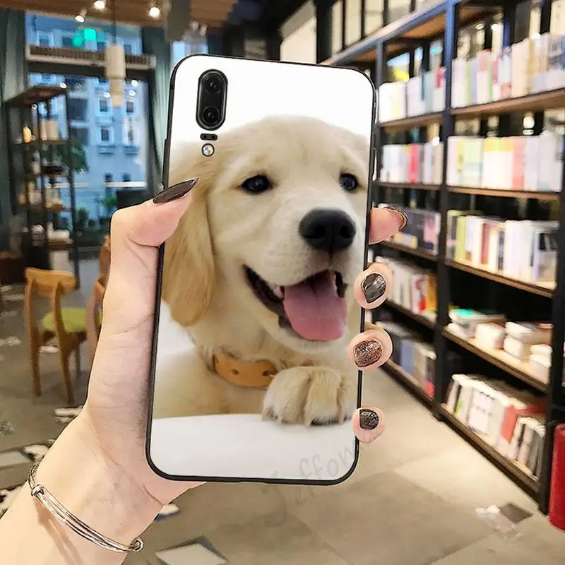 Golden retriever dog cute Phone Case For Huawei honor Mate P 10 20 30 40 i 9 8 pro x Lite smart 2019 nova 5t
Golden retriever dog cute Phone Case For Huawei honor Mate P 10 20 30 40 i 9 8 pro x Lite smart 2019 nova 5t