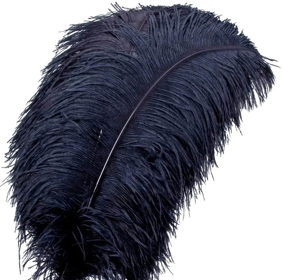 20 шт. пушистые черные натуральные страусиные перья 35-40 см/14-16 дюймов Большие Шлейфы для головных уборов Свадебная ваза
20 шт. пушистые черные натуральные страусиные перья 35-40 см/14-16 дюймов Большие Шлейфы для головных уборов Свадебная ваза