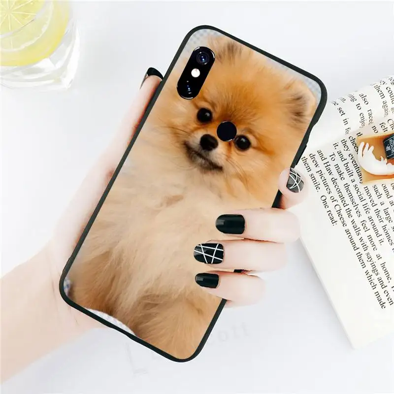 Pomeranian dogs dog Phone Case black For Xiaomi Redmi mi note 7 8t 9 9t 9s 8 10 10t 11 pro lite K20 max 3
Pomeranian dogs dog Phone Case black For Xiaomi Redmi mi note 7 8t 9 9t 9s 8 10 10t 11 pro lite K20 max 3