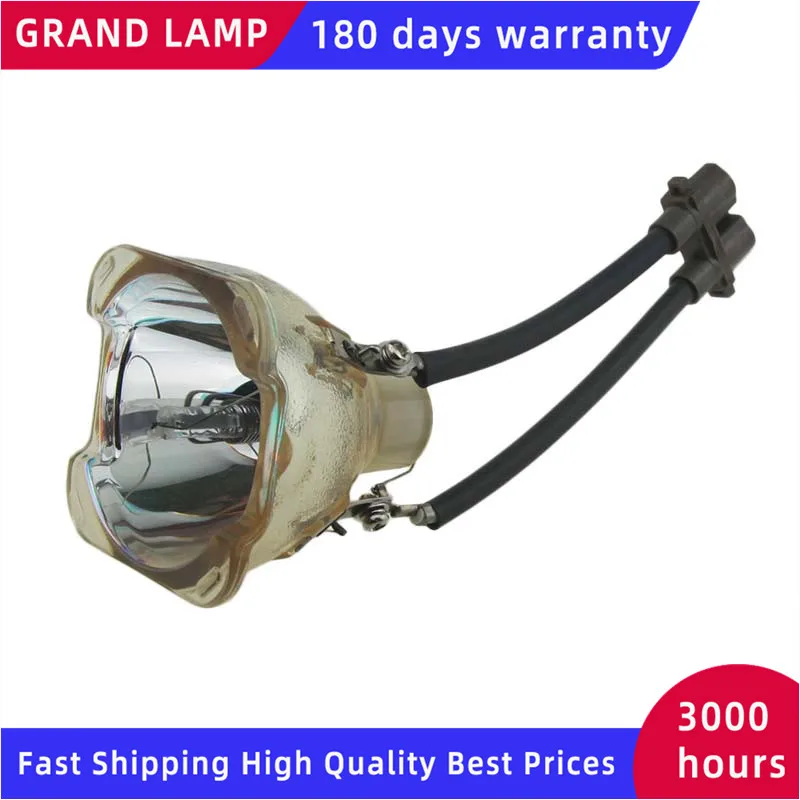 Replacement Projector Bare Lamp TLPLW13 Bulbs For TOSHIBA TDP-T350 TDP-TW350 Happybate
Replacement Projector Bare Lamp TLPLW13 Bulbs For TOSHIBA TDP-T350 TDP-TW350 Happybate