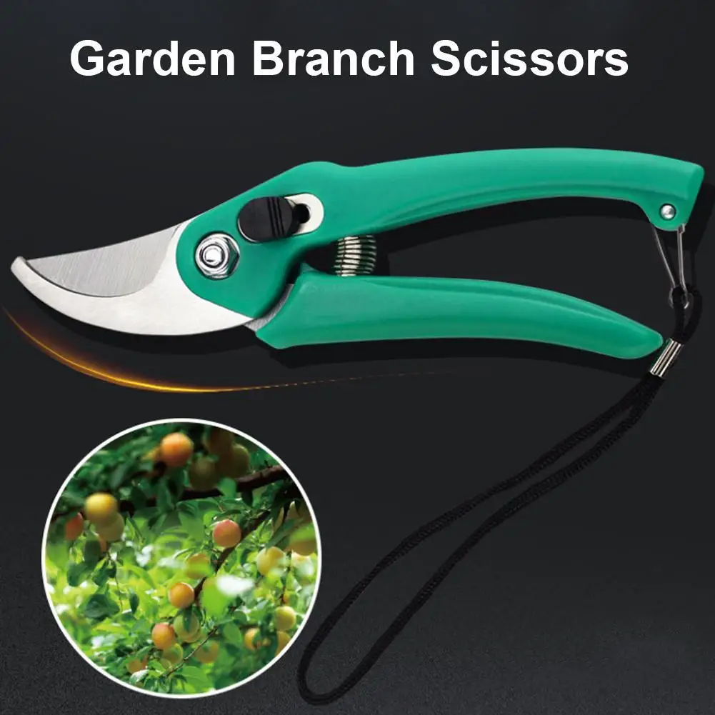 1PC Plant Trim Horticulture Hand Pruner Cut Secateur Shrub Garden Scissor Tool Anvil Branch Shear Orchard Pruning Shears
1PC Plant Trim Horticulture Hand Pruner Cut Secateur Shrub Garden Scissor Tool Anvil Branch Shear Orchard Pruning Shears