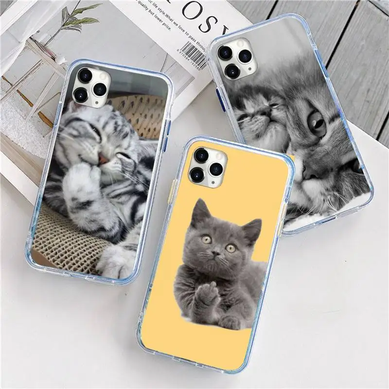 Cute Animal Cat Phone Case For iphone 12 5 5s 5c se 6 6s 7 8 plus x xs xr 11 pro max mini
Cute Animal Cat Phone Case For iphone 12 5 5s 5c se 6 6s 7 8 plus x xs xr 11 pro max mini