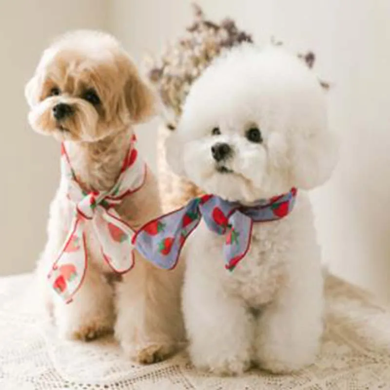 Ins Korean New Dog Accessories Pet Scarf Cat And Dog Collar Knot Cute Puppy Scarf Silk Scarf Pet Bib Small Floral Silk Scarf
Ins Korean New Dog Accessories Pet Scarf Cat And Dog Collar Knot Cute Puppy Scarf Silk Scarf Pet Bib Small Floral Silk Scarf