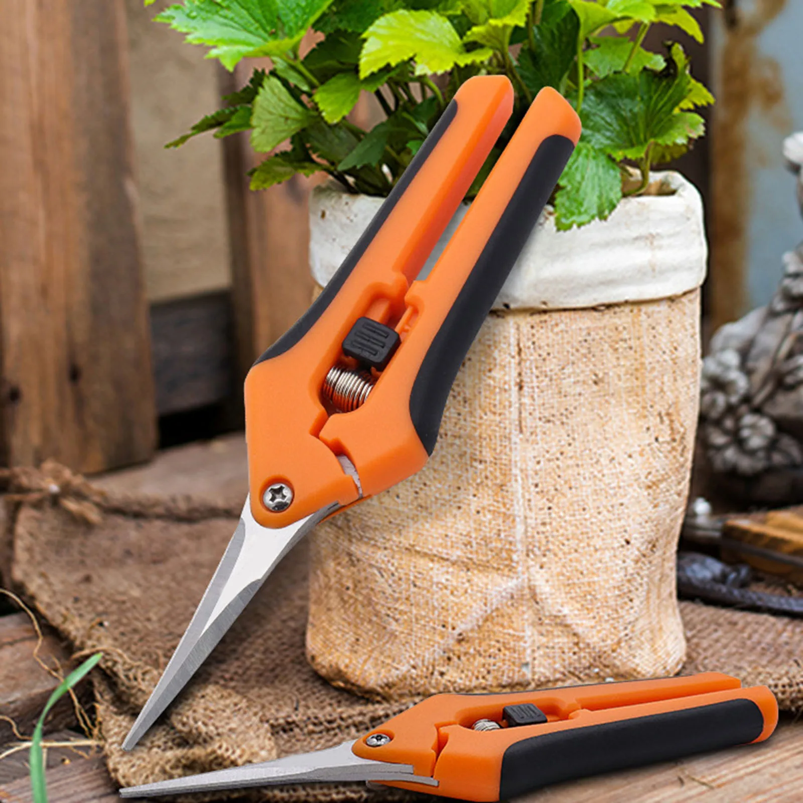 Pruning Scissors with Spring-Loaded Comfort Grip Handles and Premium Non-Stick Blades Durable Long Lasting for Garden NEW
Pruning Scissors with Spring-Loaded Comfort Grip Handles and Premium Non-Stick Blades Durable Long Lasting for Garden NEW