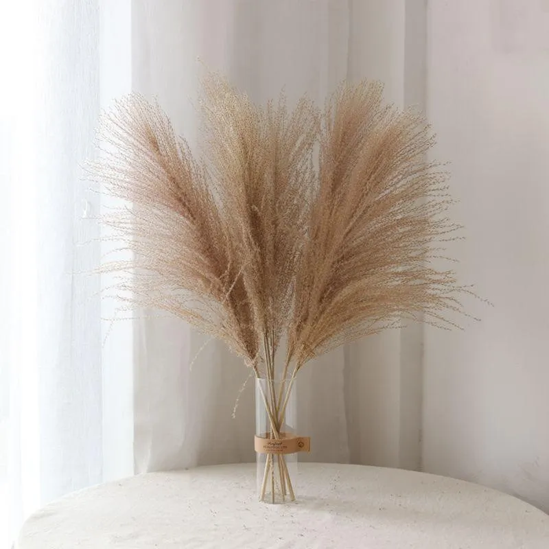 Real Direct Selling 20pcs Wedding Pampas Grass Bunch Christmas Decor Natural Dried Plant Ornaments Flower
Real Direct Selling 20pcs Wedding Pampas Grass Bunch Christmas Decor Natural Dried Plant Ornaments Flower