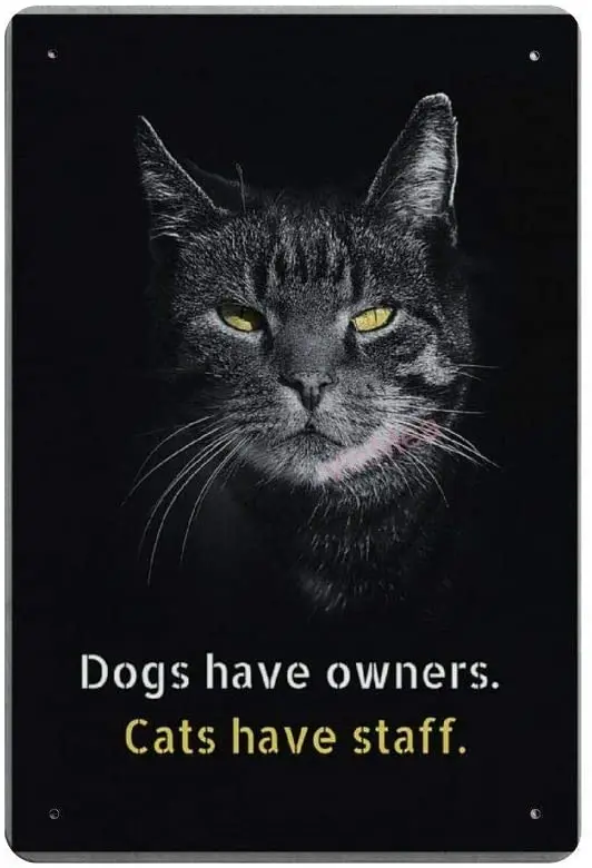 Dogs Have Owners Cats Have Staff Novelty Parking Retro Metal Tin Sign Plaque Poster Wall Decor Art Shabby Chic Gift
Dogs Have Owners Cats Have Staff Novelty Parking Retro Metal Tin Sign Plaque Poster Wall Decor Art Shabby Chic Gift