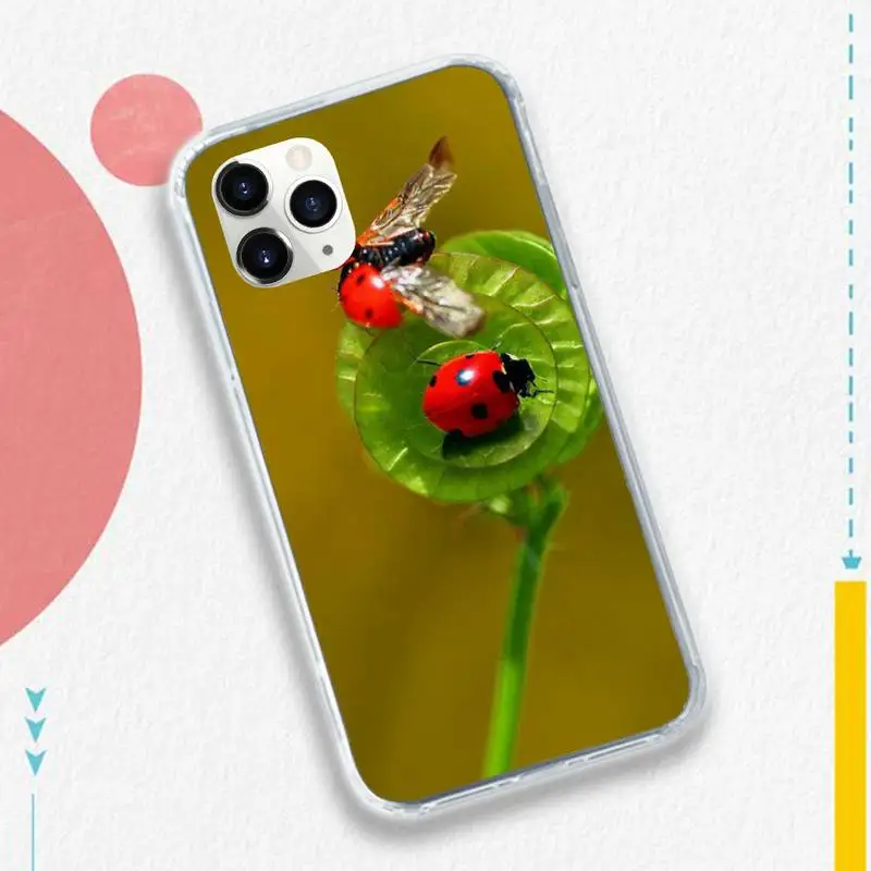 ladybug cute animal Four leaf clover Phone Case for iPhone 11 12 pro XS MAX 8 7 6 6S Plus X 5S SE 2020 XR
ladybug cute animal Four leaf clover Phone Case for iPhone 11 12 pro XS MAX 8 7 6 6S Plus X 5S SE 2020 XR