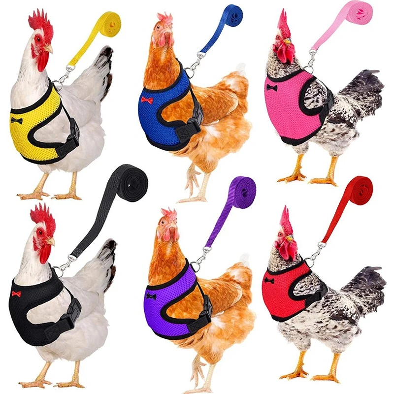Chicken Harness Reflective Vests Hen Size with Matching Belt Comfortable Breathable Large Size Suitable for Chicken Duck
Chicken Harness Reflective Vests Hen Size with Matching Belt Comfortable Breathable Large Size Suitable for Chicken Duck
