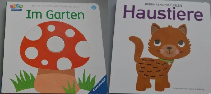 2 книги для родителей детей младенцев Раннее Обучение немецкое обучение чтение