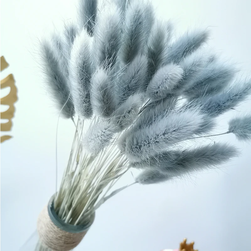 40pcs Natural Dried Flowers Bouquet Wedding Home Easter Decoration Rabbit Tail Grass Lagurus Ovatus Real Dry Flowers Accessories 
40pcs Natural Dried Flowers Bouquet Wedding Home Easter Decoration Rabbit Tail Grass Lagurus Ovatus Real Dry Flowers Accessories