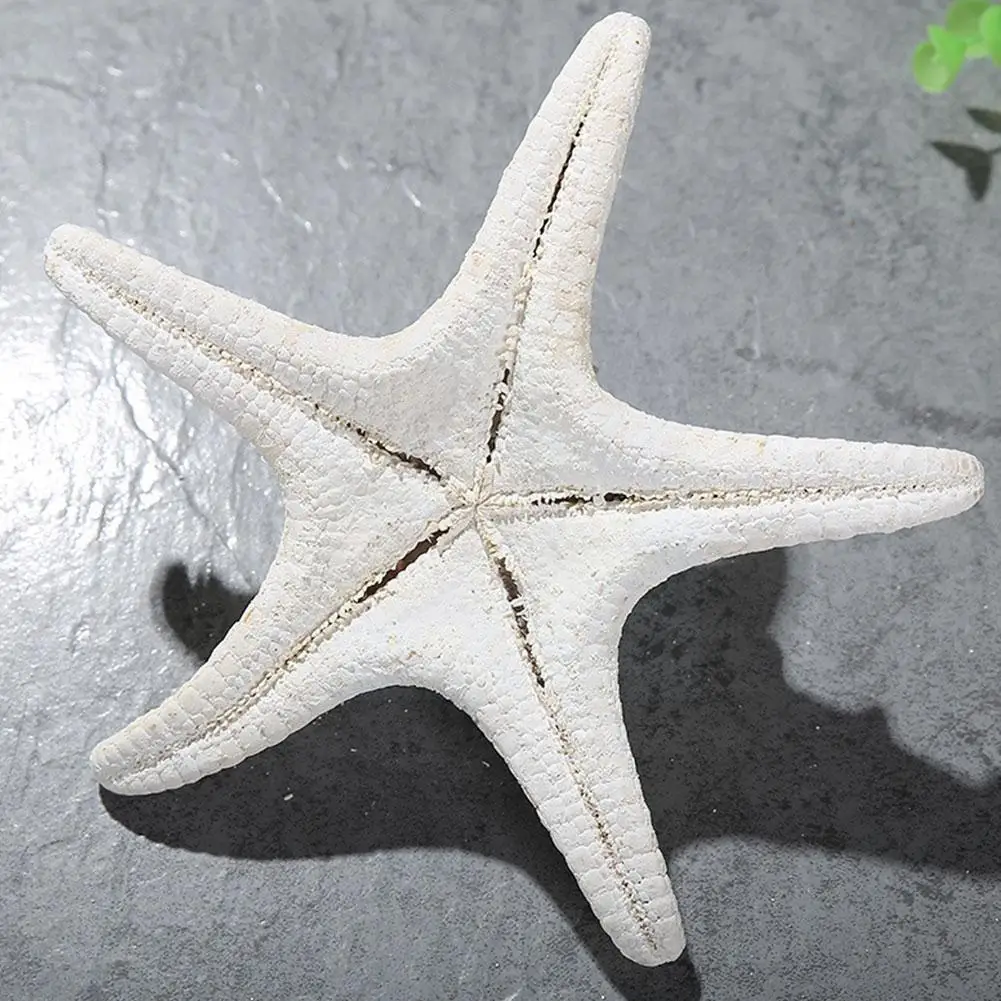 Natural Mediterranean White Starfish Shell Beach Craft Decoration Decor Conch Home Room DIY Living Ornaments Shell Handmade R3Z3
Natural Mediterranean White Starfish Shell Beach Craft Decoration Decor Conch Home Room DIY Living Ornaments Shell Handmade R3Z3