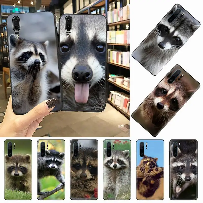 Raccoon cute animal Phone Case For Huawei honor Mate 10 20 30 40 i 9 8 pro x Lite P smart 2019 nova 5t
Raccoon cute animal Phone Case For Huawei honor Mate 10 20 30 40 i 9 8 pro x Lite P smart 2019 nova 5t