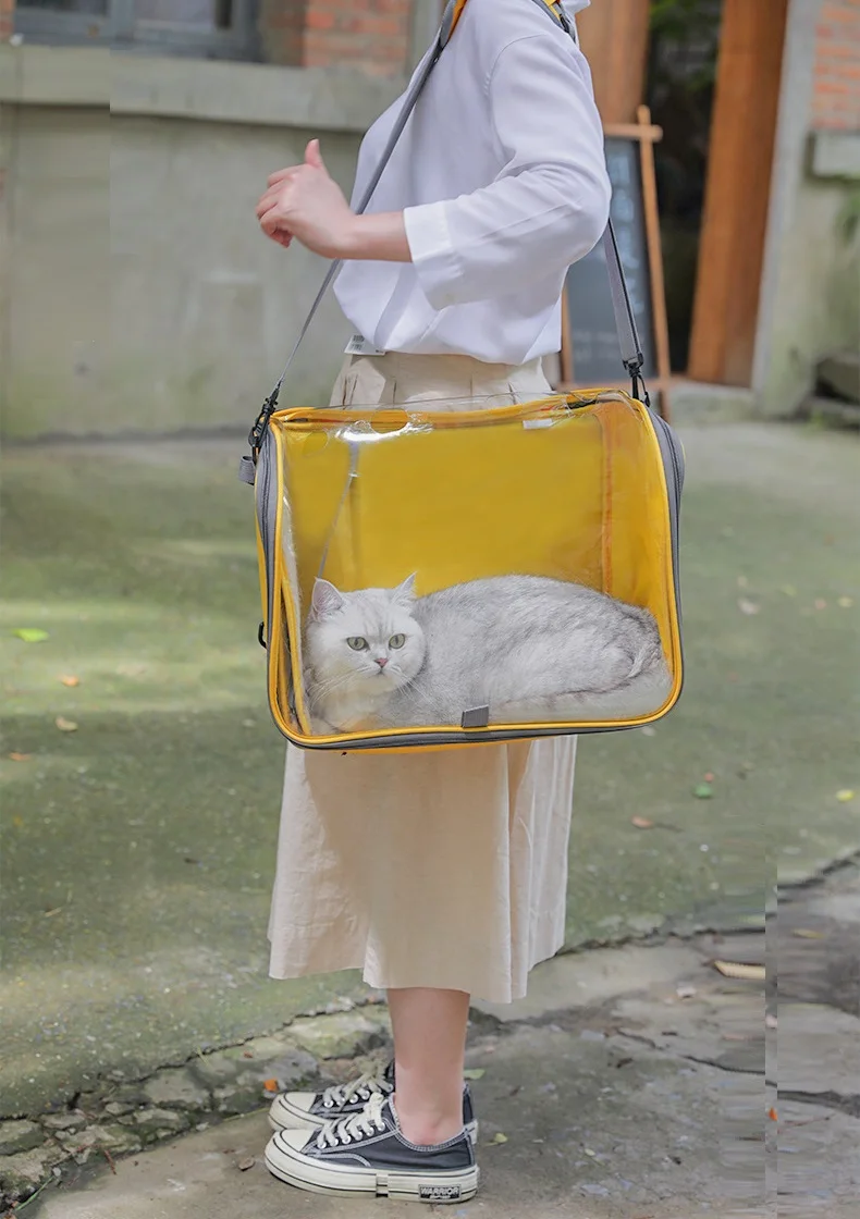 Outdoor Shopping Transport Cat Backpack Bag Breathable Carrier Sling Bags for Small Dogs Foldable Cats Handbag Travel Pet Bag
Outdoor Shopping Transport Cat Backpack Bag Breathable Carrier Sling Bags for Small Dogs Foldable Cats Handbag Travel Pet Bag